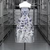 vue de la robe "Palmyre", Christian Dior